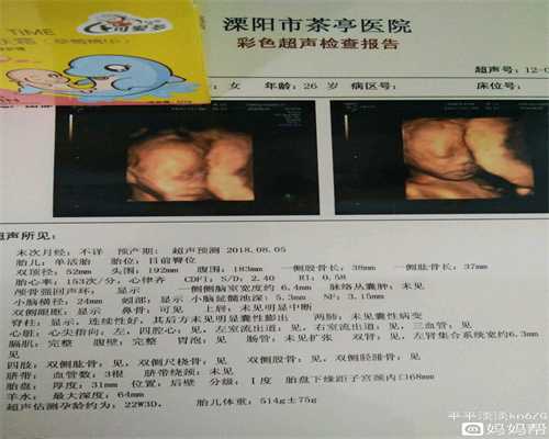 中国有合法的人工待孕_丽参鸡汤－代孕食谱