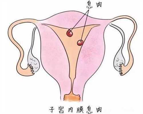 武汉代孕产子技术流程图_武汉借腹生子过程试管婴儿