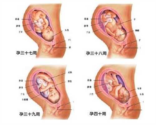 武汉供卵网_武汉西南医院供卵等多久_促排卵药什么时候开始吃 试管婴儿多久