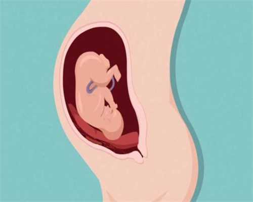供卵怀孕成功率高吗_武汉合法供卵试管中心_怀孕5个月怎么涂妊娠油