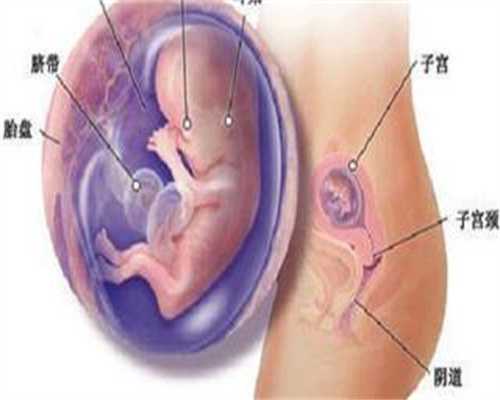 供卵武汉_武汉私人供卵自孕试管婴儿机构_惠州可以做试管的医院