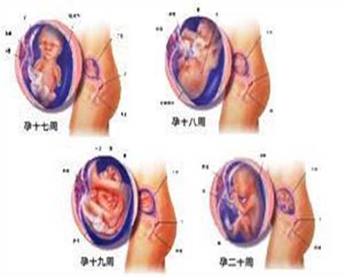 供卵助孕步骤_供卵试管是违法的吗_女性产后月经量多少正常