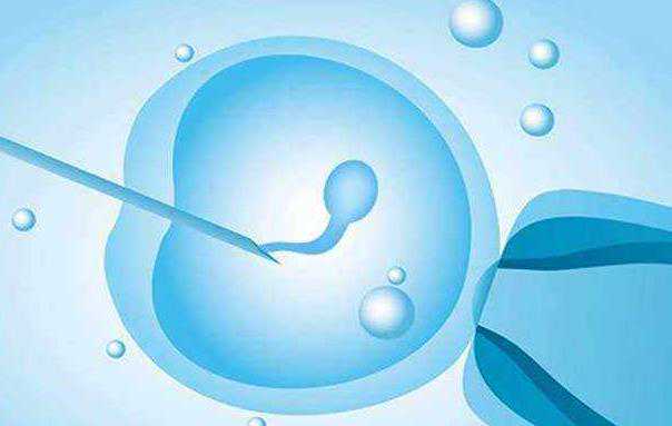 武汉供卵试管助孕哪家好 2023武汉助孕机构排名正式公布 ‘孕10周b超可以看男女