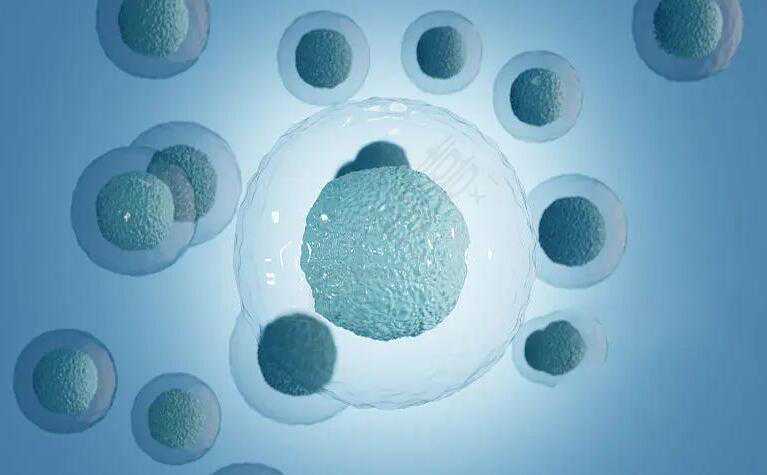 武汉供卵胚胎成功率 武汉各医院试管收费标准表 ‘b超后位是男孩还是女孩’