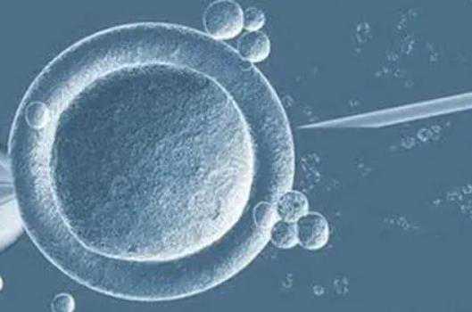 武汉合法的供卵试管机构 武汉生殖科最好的医院排行榜 ‘早期孕囊圆形有生男
