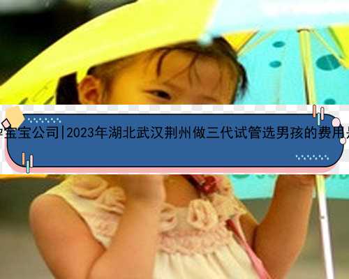 武汉代孕宝宝公司|2023年湖北武汉荆州做三代试管选男孩的费用是多少？