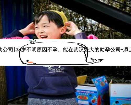 武汉代孕包成功公司|38岁不明原因不孕，能在武汉最大的助孕公司-添宝儿做试